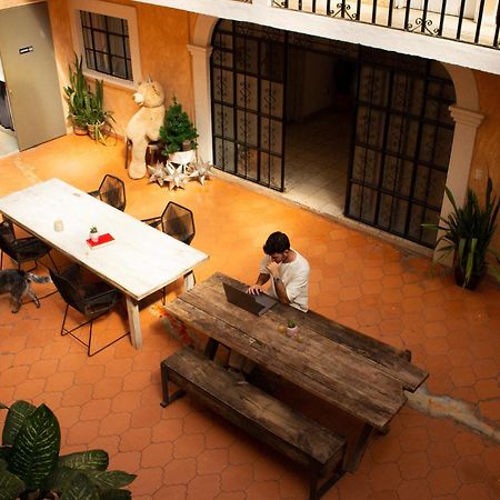 Lool Beh Hostal San Miguel de Allende Exterior photo